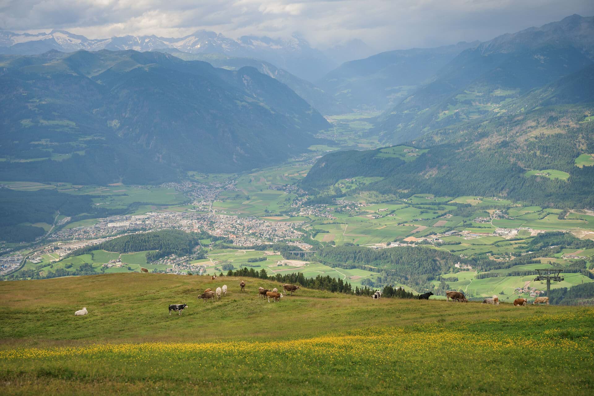 Blick von einer Alm über ein Tal mit Ortschaft