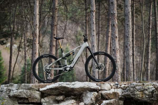 E-Mountainbike auf einer Steinmauer im lichten Kiefernwald